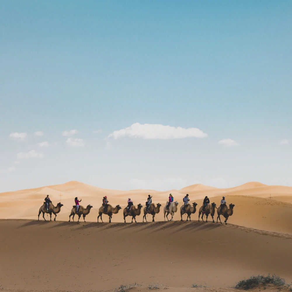 vertical-shot-people-riding-camels-sand-dune-desert